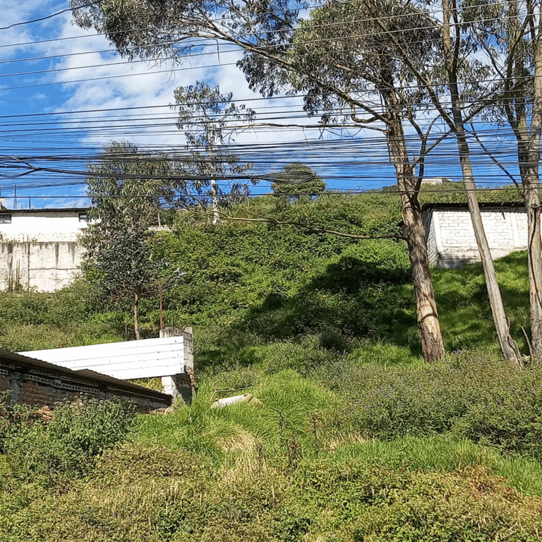 IMG_20250529_091104_320