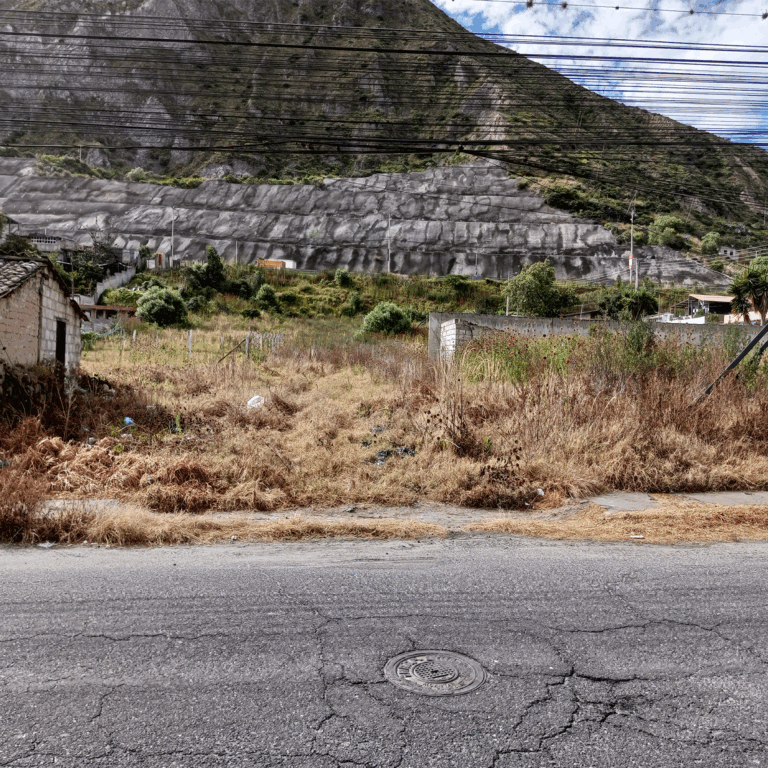 IMG_20250607_083955_805