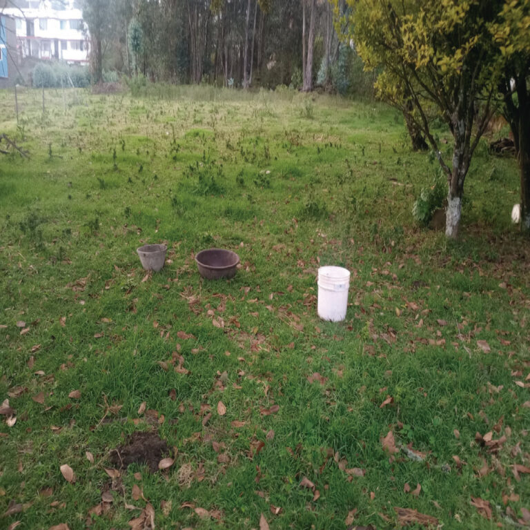 IMG202511210933142382